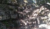 Tour Wandern Chichilianne - les 4 têtes et pas de l'essaure - Photo 2
