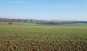 Tour Wandern Anhée - 2020-01-16 Maredsous 21 km - Photo 9