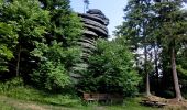 Tocht Te voet Weißenstadt - Rundwanderweg Weißenstadt Nr. 3 - Photo 2