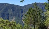 Randonnée Marche Touët-sur-Var - Touet sur Var vers Villars sur Var - Photo 5