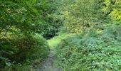 Trail Walking Vivières - en Forêt de Retz_88_autour du Regard Saint-Hubert et du Rond de la Reine - Photo 7