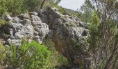 Randonnée Marche La Roquebrussanne - La Roque La loube Col de la barraque les orris - Photo 15