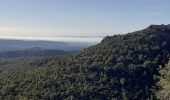 Trail Walking Fréjus - Autour du col des Sacs depuis Parking de la Colle Douce - Photo 3