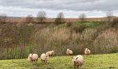 Randonnée Marche Nivelles - Monstreux 21 km - Photo 15