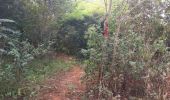 Trail Walking ບ້ານ ບັງເຢາະ - NKM Ban Bangyor - Photo 8