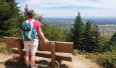 Trail Walking Dambach-la-Ville - Sommets et rochers - Photo 18