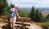 Tour Wandern Dambach - Sommets et rochers - Photo 18