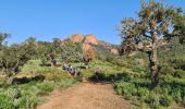 Trail Walking Saint-Raphaël - saint Raphaël mamelons de l esterel - Photo 17