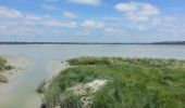 Tour Wandern Huisnes-sur-Mer - Mont-St-Michel - 14km 64m 4h30 - 2017 06 26 - Photo 14