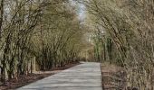 Tour Wandern Bleiberg - A la découverte de Hombourg et ses environs  - Photo 12