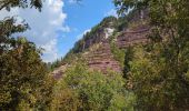 Trail Walking Beuil - balcon sur les gorges du cians - Photo 2