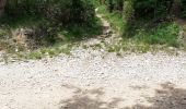 Trail Walking Marsanne - Marsanne 4 - Photo 1