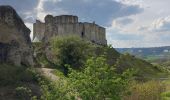 Trail Walking Les Andelys - Les falaises de craies des Andelys  - Photo 1