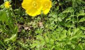 Trail Walking Sprimont - Blindef - Photo 9