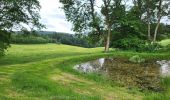 Trail Walking Vresse-sur-Semois - Allesur Semois 020625 - Photo 15