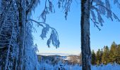 Trail Cross-country skiing Thélis-la-Combe - ski alternatif - Photo 4