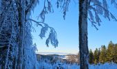 Randonnée Ski de fond Thélis-la-Combe - ski alternatif - Photo 4