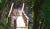 Trail Walking Ambérieu-en-Bugey - lac bleu- Ch. st germain- Ch. des Allymes  - Photo 7