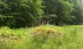 Trail  Habay - Habay-la-Vieille - Photo 1