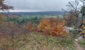 Trail Walking Fontainebleau - solle 7 - Photo 1