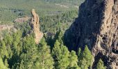 Percorso Marcia Tejeda - Roque Nublo (Gran Canaria) - Photo 15