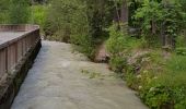 Tocht Stappen Chamonix-Mont-Blanc - les tiens par Les Praz de Chamonix et Les bois - Photo 3