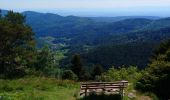 Tour Wandern Luttenbach-près-Munster - Autour du Petit Ballon et ses fermes auberges - Photo 13