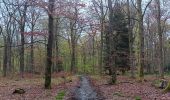 Trail Walking Spa - de la Sauveniere à la Reine, autour de Malchamps  - Photo 4