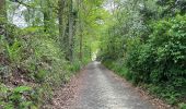 Trail Walking Herent - Winksele 16 km - Photo 3