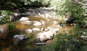 Tour Wandern Bugeat - Fred Bugeat la vezere - Photo 2