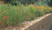 Excursión Senderismo Sanary-sur-Mer - le gros cerveau - Photo 1