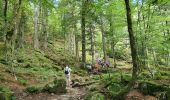 Percorso Marcia Stosswihr - rdpr gaschney - Photo 10
