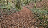 Trail Walking Arcenant - Arcenant - Sentier Marianne - Roches du Châtelet - Photo 6