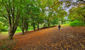 Randonnée Marche Tubize - Balade à Tubize - Photo 9