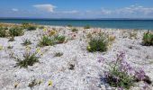 Randonnée Marche Martigues - le parc de Figuerolles - Photo 6