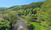 Tour Wandern Goesdorf - Goebelsmühle  - Photo 16