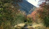 Tour Zu Fuß Sangerhausen - Sangerhausen Lengefeld Morungen - Photo 2