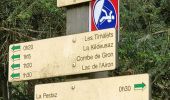 Randonnée Marche Arâches-la-Frasse - Les Carroz tête des Saix boucle - Photo 4