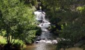 Tour Wandern Montfermy - Autour de Montfermy - Photo 8