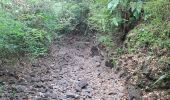 Tour Wandern Rivière-Salée - Rivière Salée - Les Trois-Ilets - Le Défi 2025 - Photo 4