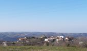 Percorso Marcia Tournon-sur-Rhône - Mauves  - Photo 1