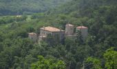 Tocht Te voet Cormòns - Iter Aquileiense - variante per l'Abbazia di Rosazzo - Photo 10