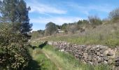 Tour Wandern Céret - Céret pont du Diable . Saint Feriol (boucle sens aiguilles de la montre) - Photo 13