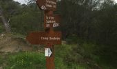 Trail Walking Tourrette-Levens - Tour Sud de Tourette Levens - Photo 10