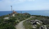 Tour Wandern Port-Vendres - cap bear - Photo 1