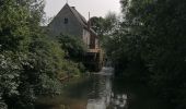 Tocht Stappen Thuin - Balade de Thuin à l'abbaye d'Aulne et retour à Thuin  - Photo 13