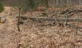 Tocht Noords wandelen Fontainebleau - Départ croix Toulouse  - Photo 1