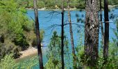 Randonnée Marche Montauroux - Esterets du Lac - Observatoire - Lac de St Cassien - Photo 1