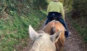 Trail Horseback riding Ban-sur-Meurthe-Clefcy - Fraize chez Delphine col plafond Yoigo  - Photo 6