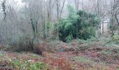 Trail Walking Limerzel - PR_56_Limerzel_AA_01_Vallee-Du-Trevelo_Circuit1b_20231215 - Photo 4